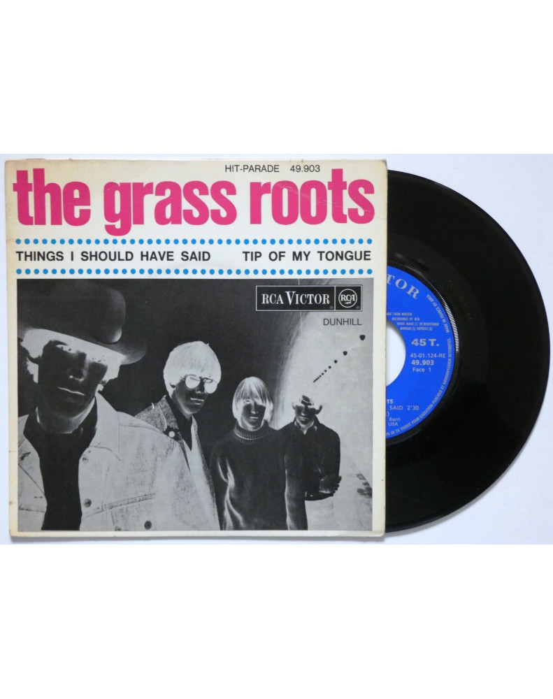 THE GRASS ROOTS - THINGS I SHOULD HAVE SAID