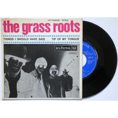 THE GRASS ROOTS - THINGS I SHOULD HAVE SAID