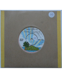 BRYAN FERRY - A HARD RAIN'S A-GONNA FALL (7" Pressage UK)