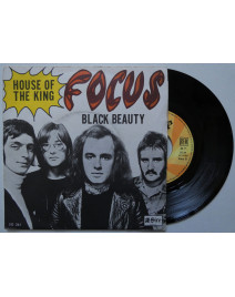 FOCUS - BLACK BEAUTY /...