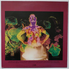 THE SHAMEN - Strange Day Dreams