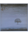 GENESIS - Wind & Wuthering