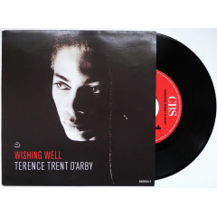 TERENCE TRENT D'ARBY - Wishing Well
