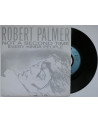 ROBERT PALMER - Not A...