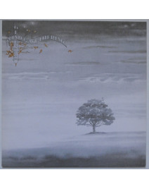 GENESIS - Wind & Wuthering