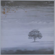 GENESIS - Wind & Wuthering