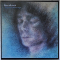 STEVE HACKETT - Spectral Mornings