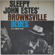 SLEEPY JOHN ESTES - Brownsville Blues...